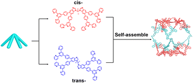 Graphical abstract: A truncated triangular prism constructed by using imidazole–terpyridine building blocks