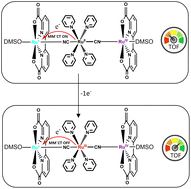 Graphical abstract: Coupling between two Ru(bda) catalysts bridged by a trans-dicyano complex