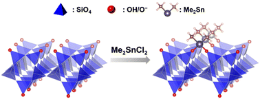 Graphical abstract: Immobilization of isolated dimethyltin species on crystalline silicates through surface modification of layered octosilicate