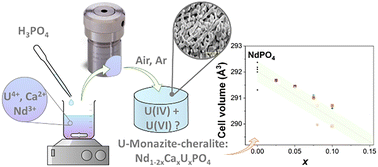 Graphical abstract: Incorporation of U(iv) in monazite–cheralite ceramics under oxidizing and inert atmospheres