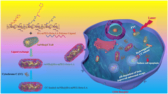 Graphical abstract: A tumor-targeted and enzyme-responsive gold nanorod-based nanoplatform with facilitated endo–lysosomal escape for synergetic photothermal therapy and protein therapy