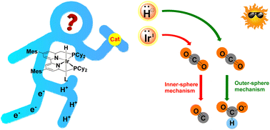 Graphical abstract: Mechanism of photocatalytic CO2 reduction to HCO2H by a robust multifunctional iridium complex