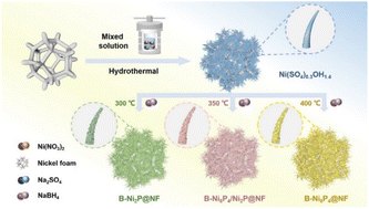 Graphical abstract: Anion doping and interfacial effects in B-Ni5P4/Ni2P for promoting urea-assisted hydrogen production in alkaline media