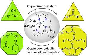 Graphical abstract: Synthesis and catalytic activity of tetradentate β-diketiminato rare-earth metal monoalkyl complexes in tandem Oppenauer oxidation and cross-aldol condensation