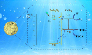 Graphical abstract: Construction of core–shell CoSe2/ZnIn2S4 heterostructures for efficient visible-light-driven photocatalytic hydrogen evolution