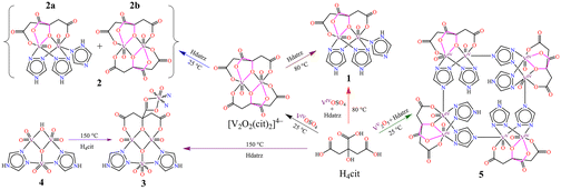 Graphical abstract: Asymmetric dinuclear, hexanuclear and octanuclear oxovanadium citrates with triazolates: novel mixed-ligands and mixed-valence complexes