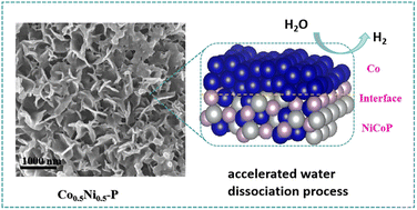 Graphical abstract: Heterogeneous Co–Ni phosphide with active sites for water dissociation and efficient hydrogen evolution reaction