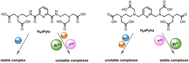Graphical abstract: Synthesis of new acyclic chelators H4aPyta and H6aPyha and their complexes with Cu2+, Ga3+, Y3+, and Bi3+