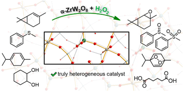 Graphical abstract: Heterogeneous H2O2-based selective oxidations over zirconium tungstate α-ZrW2O8
