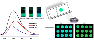 Graphical abstract: A dinuclear CdII cluster-based stable luminescent metal–organic framework for the consecutive and visual detection of H2PO4− and OCN−