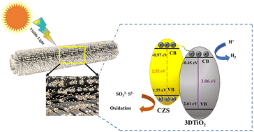 Graphical abstract: A rationally designed 3DTiO2@CdZnS heterojunction photocatalyst for effectively enhanced visible-light-driven hydrogen evolution