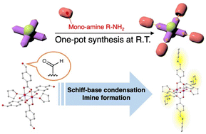 Graphical abstract: Post-synthetic molecular modifications based on Schiff base condensation reactions for designing functional paddlewheel diruthenium(ii,ii) complexes