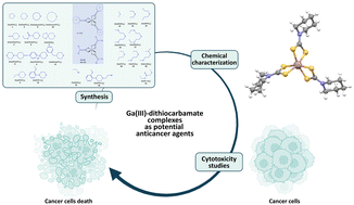 Graphical abstract: Synthesis, characterization and in vitro cytotoxicity of gallium(iii)-dithiocarbamate complexes