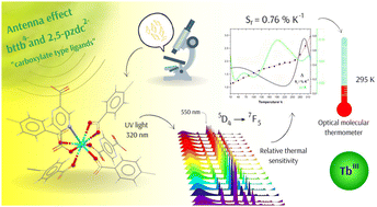 Graphical abstract: Intensity and lifetime ratiometric luminescent thermometer based on a Tb(iii) coordination polymer