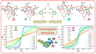 Graphical abstract: Insight into ferromagnetic interactions in CuII–LnIII dimers with a compartmental ligand