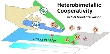 Graphical abstract: Cooperative activation of carbon–hydrogen bonds by heterobimetallic systems