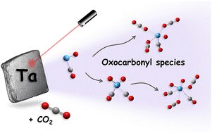 Graphical abstract: Observation of inserted oxocarbonyl species in the tantalum cation-mediated activation of carbon dioxide dictated by two-state reactivity