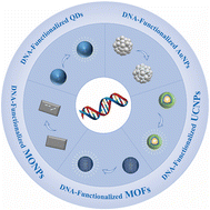 Graphical abstract: DNA-functionalized metal or metal-containing nanoparticles for biological applications