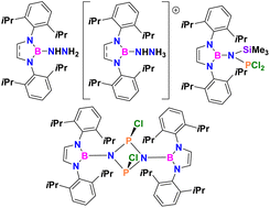 Graphical abstract: Boron diamide derivatives containing N–N and N–P molecular fragments