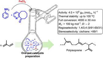 Graphical abstract: Enhancing isoprene polymerization with high activity and adjustable monomer enchainment using cyclooctyl-fused iminopyridine iron precatalysts