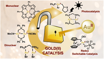 Graphical abstract: Unlocking the catalytic potential of gold(ii) complexes: a comprehensive reassessment