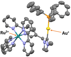 Graphical abstract: Synthesis and luminescent properties of hetero-bimetallic and hetero-trimetallic Ru(ii)/Au(i) or Ir(iii)/Au(i) complexes