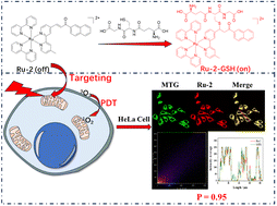 Graphical abstract: Mitochondria-targeted ruthenium(ii) complexes for photodynamic therapy and GSH detection in living cells