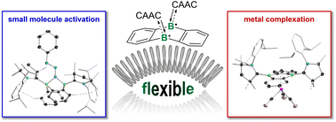 Graphical abstract: CAAC-stabilised 9,10-diboraanthracene: an electronically and structurally flexible platform for small-molecule activation and metal complexation