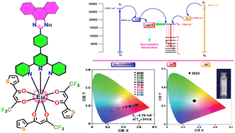 Graphical abstract: A terpyridyl-imidazole based europium tris-(β-diketonate) complex as an efficient molecular luminescent thermometer and single component white light emitter via synergy in energy transfer between ligands and Eu3+