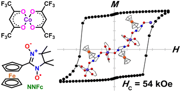 Graphical abstract: Ferrocenyl-substituted nitronyl nitroxide in the design of one-dimensional magnets