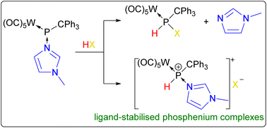 Graphical abstract: Access to ligand-stabilized PH-containing phosphenium complexes