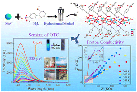 Graphical abstract: A stable Mn(ii) coordination polymer demonstrating proton conductivity and quantitative sensing of oxytetracycline in aquaculture