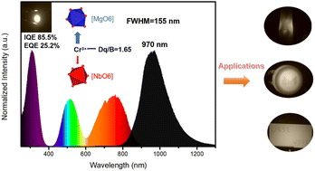 Graphical abstract: Broadband short-wave near-infrared-emitting phosphor MgNb2O6:Cr3+ for pc-LED applications