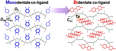 Graphical abstract: A novel style of 2D Hofmann-type coordination polymer incorporated trigonal prismatic coordination geometry with bidentate co-ligands