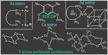 Graphical abstract: Diverse structural reactivity patterns of a POCOP ligand with coinage metals