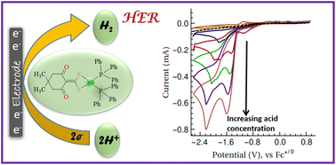 Graphical abstract: The rigidity and chelation effect of ligands on the hydrogen evolution reaction catalyzed by Ni(ii) complexes