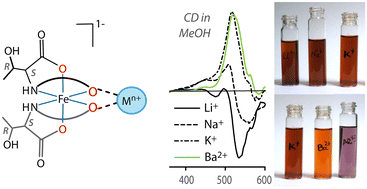 Graphical abstract: Water-soluble chiral coordination polymers of Li+, Na+, K+, and Ba2+ with an anionic iron(iii) complex of a l-threonine derivative and a significant red shift of visible spectra with Al3+ salt