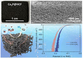 Graphical abstract: A hierarchical carbon foam-hosted Co2P nanoparticles monolithic electrode for ampere-level and super-durable electrocatalytic hydrogen production
