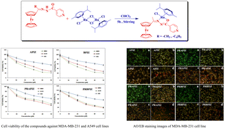 Graphical abstract: Preparation of new organo-ruthenium(ii) complexes and their nucleic acid/albumin binding efficiency and in vitro cytotoxicity studies