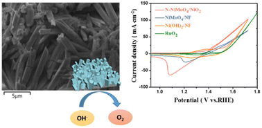 Graphical abstract: A stable N-doped NiMoO4/NiO2 electrocatalyst for efficient oxygen evolution reaction