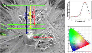 Graphical abstract: White light-emitting ZnO:Dy3+ nanophosphors: delving into the spectroscopic parameters via Judd–Ofelt analysis