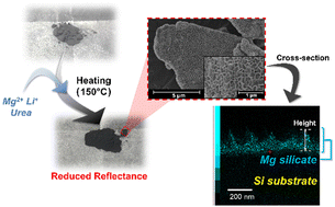 Graphical abstract: Formation of moth-eye-like structures on silicon through in situ crystallization of layered Mg silicate