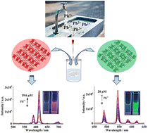 Graphical abstract: Luminescent lanthanide complexes based on 4,5-di(3,5-dicarboxylphenoxy)phthalic acid as enhanced fluorescence probes for highly selective detection of lead(ii) ions in water