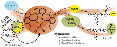 Graphical abstract: Preparation of silyl-terminated branched polyethylenes catalyzed by Brookhart's nickel diimine complex activated with hydrosilane/B(C6F5)3