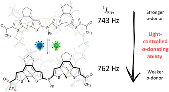 Graphical abstract: Amplified photomodulation of a bis(dithienylethene)-substituted phosphine