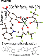 Graphical abstract: Slow magnetic relaxation in a complex of photochromic spiropyran in a merocyanine form and cobalt(ii) hexafluoroacetylacetonate