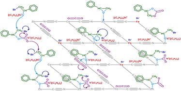 Graphical abstract: Unraveling the role of internal–external metal substitution in Zn3[Co(CN6)]2 for the styrene oxide–CO2 cycloaddition reaction