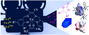 Graphical abstract: Non-covalent interactions in molecular architectures and solvent-free catalytic activity towards CO2 fixation of mononuclear Co(iii) complexes installed on modified Schiff base ligands