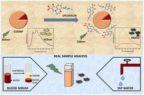Graphical abstract: Synthesis of highly luminescent core–shell nanoprobes in a single pot for ofloxacin detection in blood serum and water