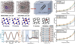 Graphical abstract: BNNT vs. CNT: influence of structural defects on damping characteristics of nanocomposites